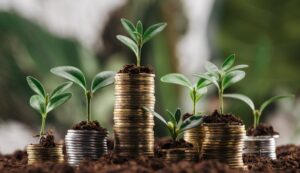El auge de la banca verde y las inversiones sostenibles en 2025