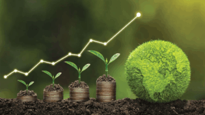 bonos verdes vs bonos de sostenibilidad